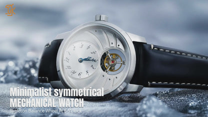 Classic And Elegant Silver Wings
